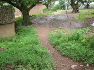 江坪地自然村 江坪地自然村