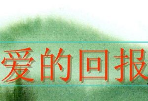 愛的回報 愛的回報