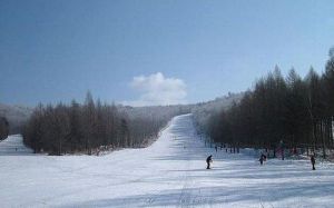 桃山滑雪場 桃山滑雪場