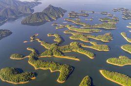 千島湖蛇島