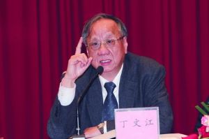 丁文江[上海交通大學教授]