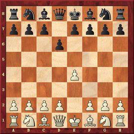 半開放性開局 半開放性開局