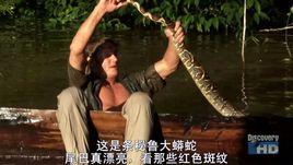 弄蛇人奧斯汀史帝文-尋找亞馬遜綠森蚺 弄蛇人奧斯汀史帝文-尋找亞馬遜綠森蚺