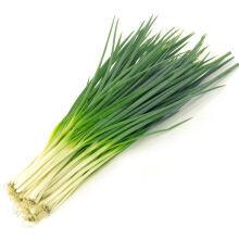 四季小蔥 四季小蔥