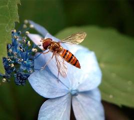 生命活動規律 生命活動規律