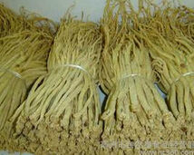 貢山黨參 貢山黨參