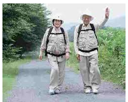 候鳥模式 候鳥模式