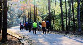 湘贛茶鹽古道 湘贛茶鹽古道