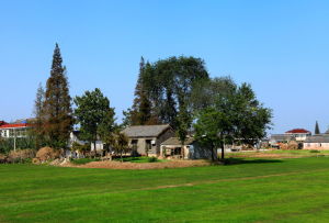 巢城遺址 巢城遺址