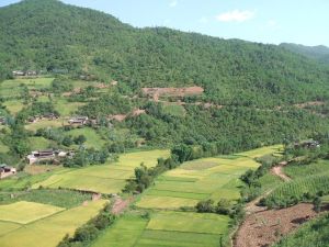 石房河村 石房河村