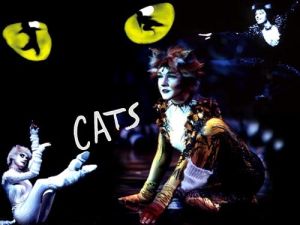 著名音樂劇《貓》