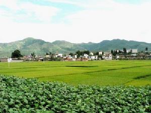 白龍橋村 白龍橋村