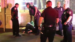 紐約環保警察 紐約環保警察