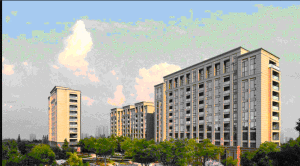 榮安蝶園 榮安蝶園