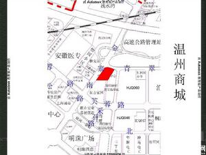 大華國際港區點陣圖