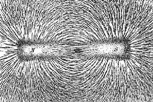 透過鐵粉顯示出的磁場線。