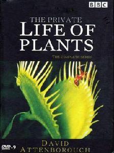 植物私生活