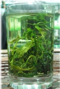 野生絞股藍茶 野生絞股藍茶