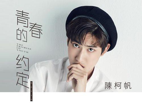 陳柯帆[中國內地影視男演員]
