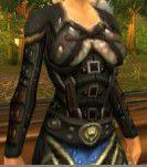 龍騎兵的外套 龍騎兵的外套