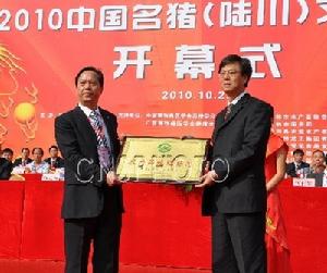 2010中國名豬（陸川）文化節