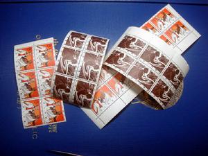 C103慶祝非洲自由日