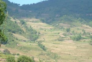 小丙拐村 小丙拐村