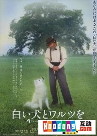 《共舞華爾茲》 《共舞華爾茲》