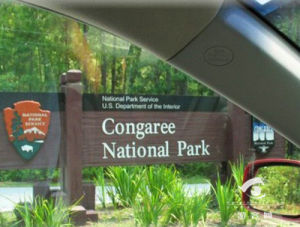 康加里河 康加里河