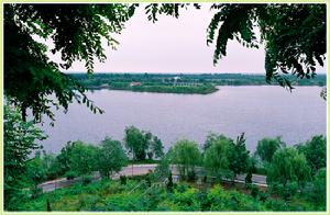 壽光市國有機械林場