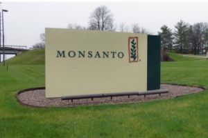 孟山都公司 孟山都公司