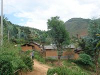 木榔自然村 木榔自然村