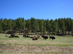 風穴國家公園 風穴國家公園