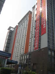 金城地豪 金城地豪