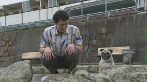 不能結婚的男人《劇照》