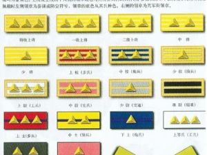 中將加上將銜 中將加上將銜