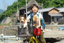 沖田大志，武井證飾