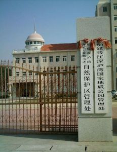 深滬灣海底古森林自然保護區 深滬灣海底古森林自然保護區