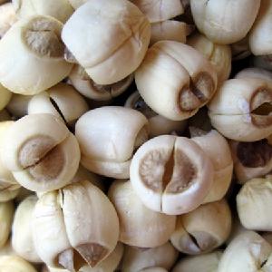 江西代購網 江西代購網