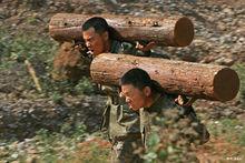 成才[電視劇《士兵突擊》主角之一]