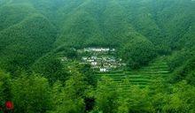 竹林深處有人家