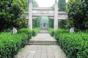 八嶺山國家森林公園 八嶺山國家森林公園