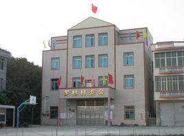 羅村村[渚口鄉下轄村]