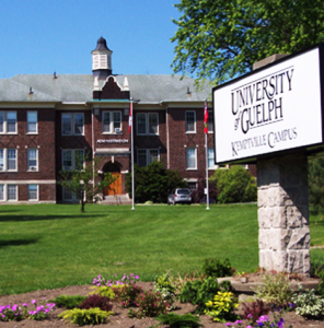 圭爾夫大學 圭爾夫大學