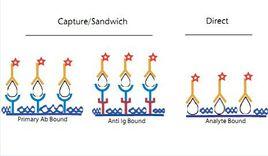 ELISA[酶聯免疫吸附劑測定]
