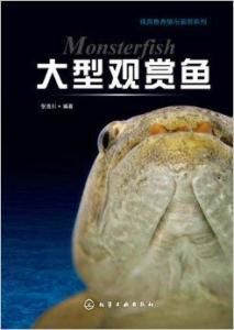 大型觀賞魚 大型觀賞魚