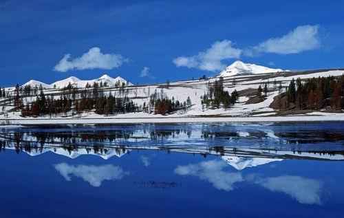 黃石公園的冬季