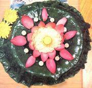 荷花芙蓉 荷花芙蓉