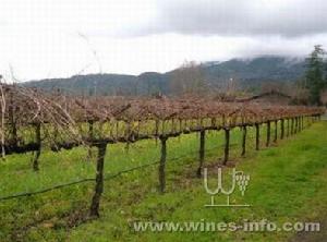 艾斯坦莎山莊 艾斯坦莎山莊