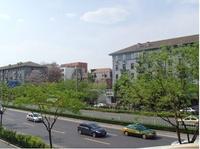 京城81號[北京市朝陽門內大街建築]